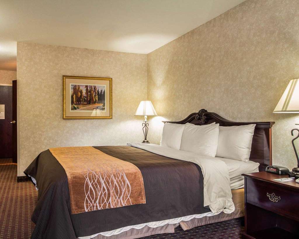 Comfort Inn Silicon Valley East Fremont Quarto foto