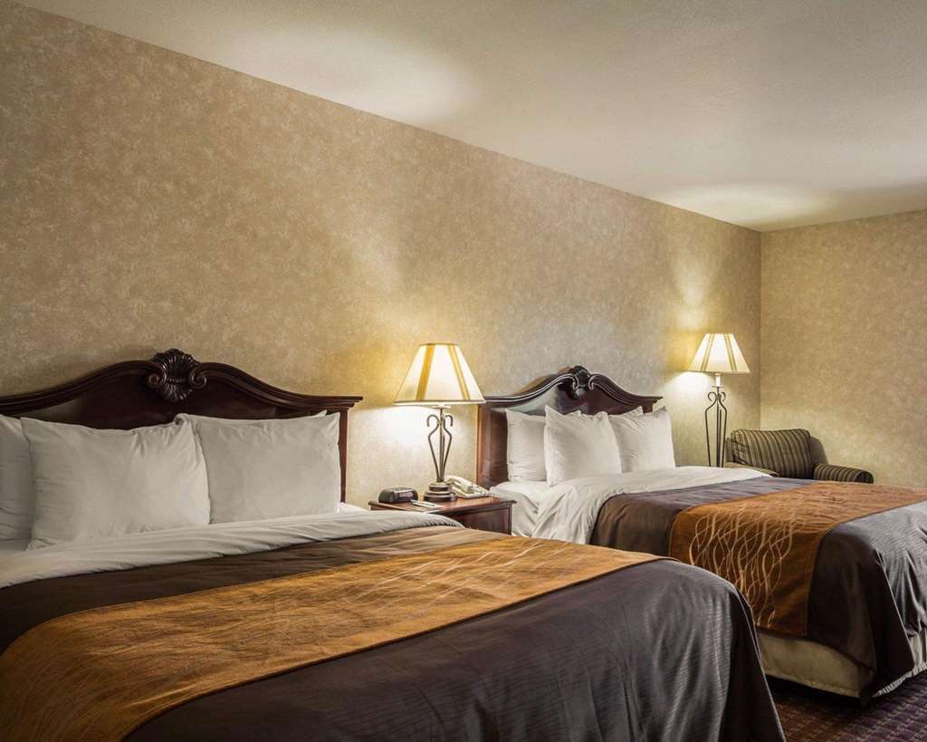 Comfort Inn Silicon Valley East Fremont Quarto foto