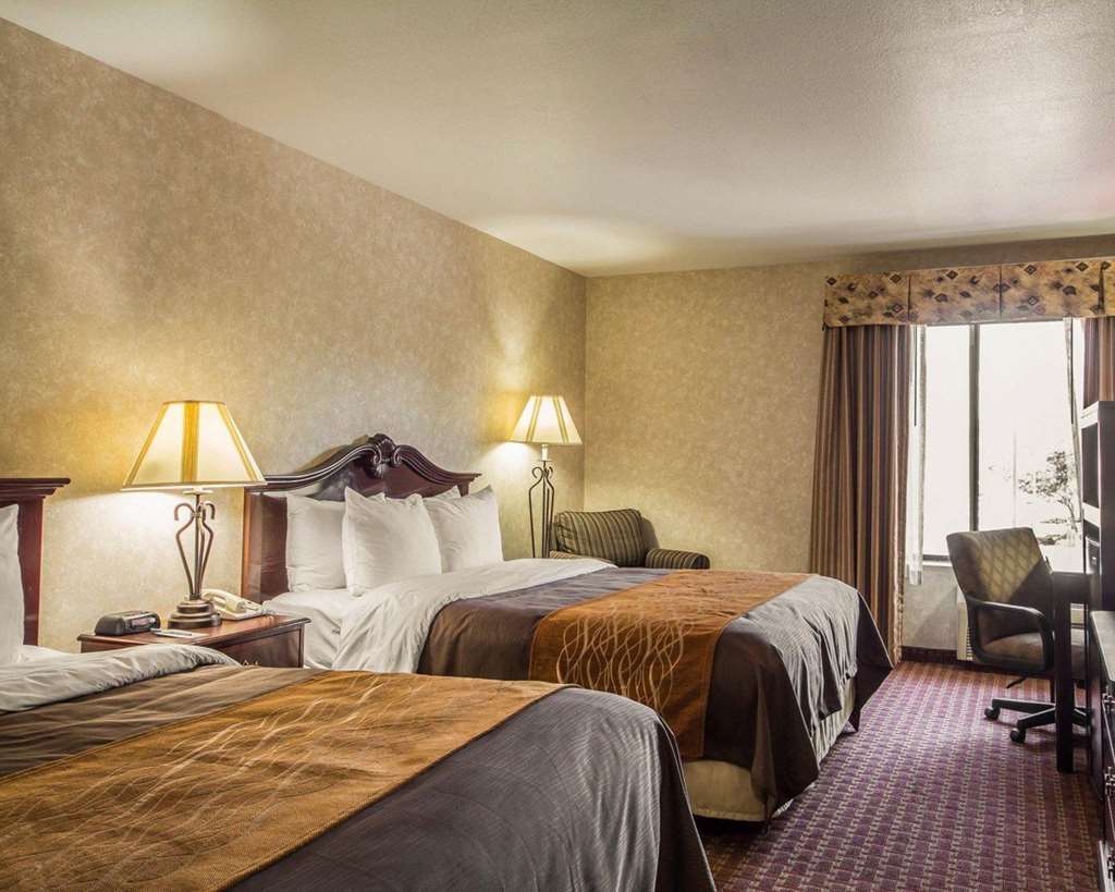 Comfort Inn Silicon Valley East Fremont Quarto foto