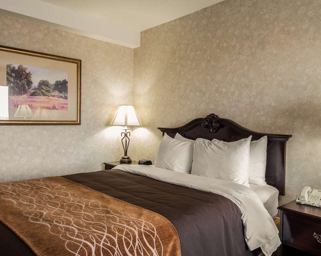 Comfort Inn Silicon Valley East Fremont Quarto foto