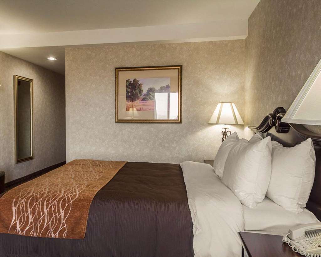 Comfort Inn Silicon Valley East Fremont Quarto foto