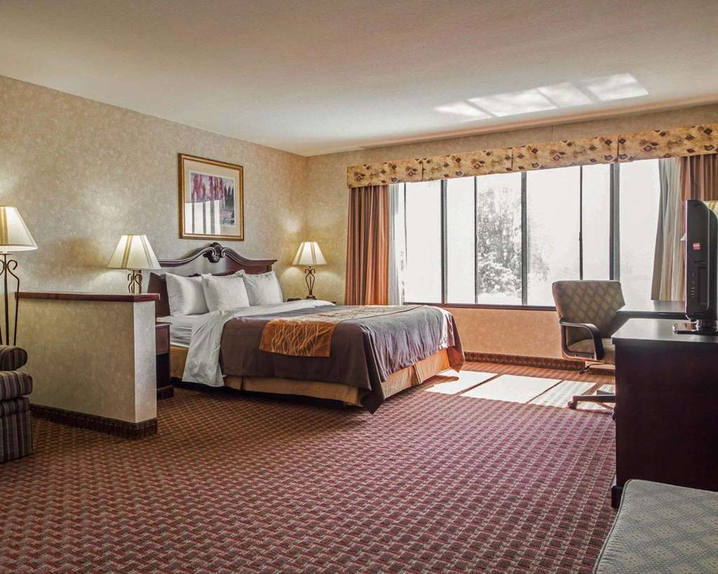 Comfort Inn Silicon Valley East Fremont Quarto foto