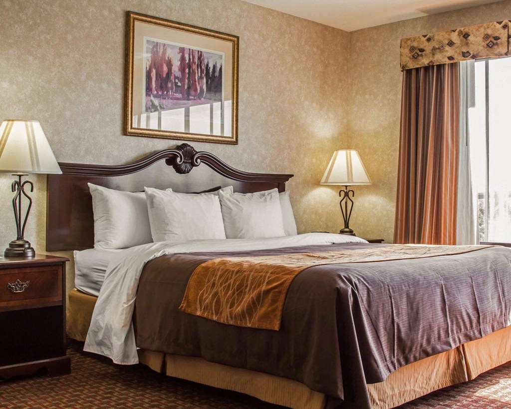 Comfort Inn Silicon Valley East Fremont Quarto foto